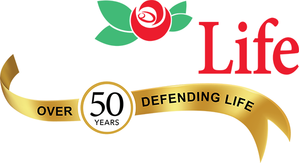 WVFL over 50 logo rev